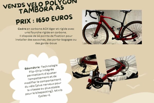 polygon1